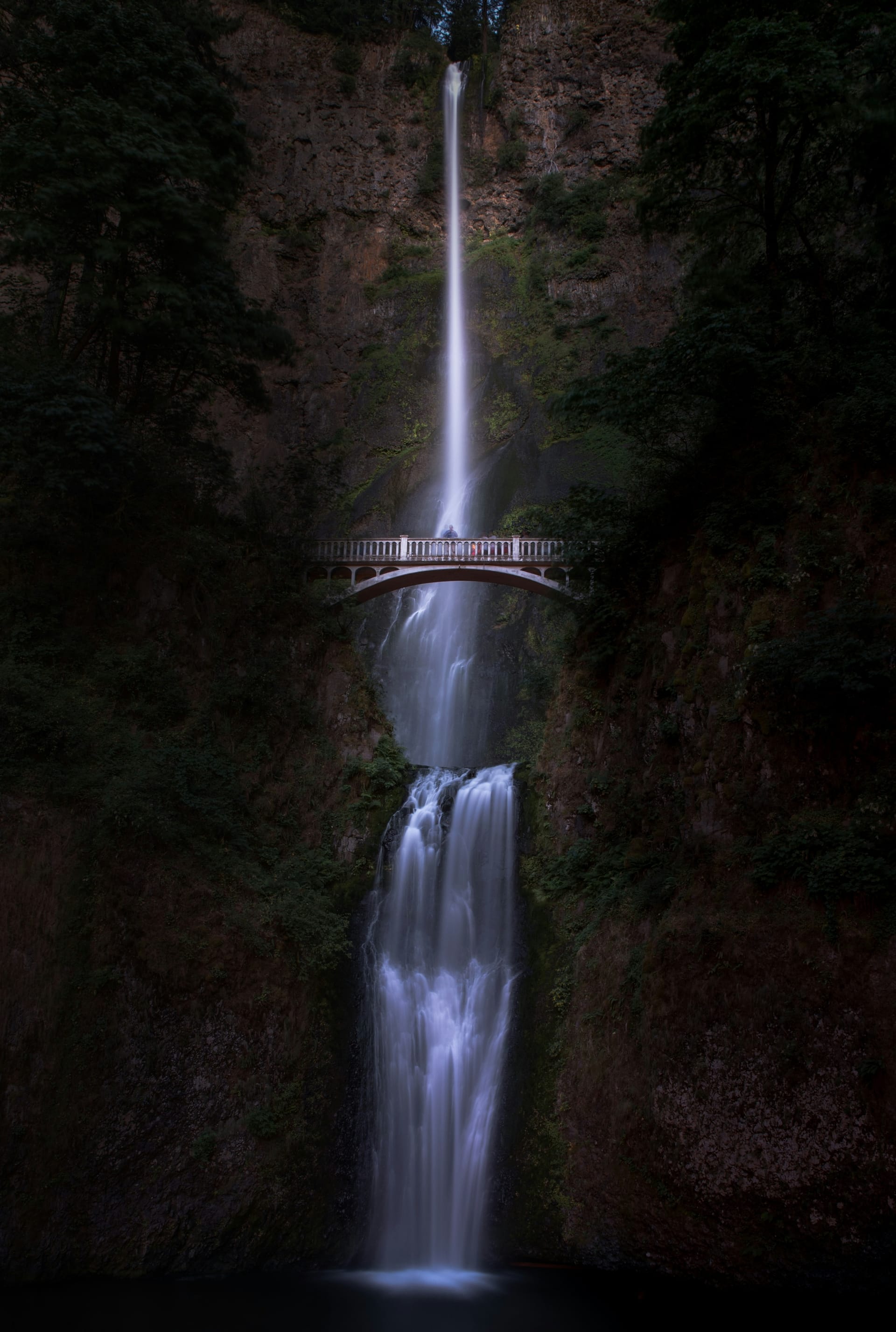 Portrait Cover Middle